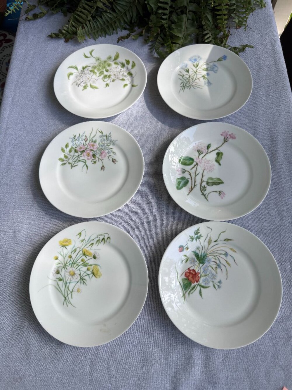 Haviland Limoges Floral Plates – Antique French Porcelain